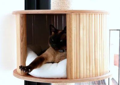 Casa para gatos de madera